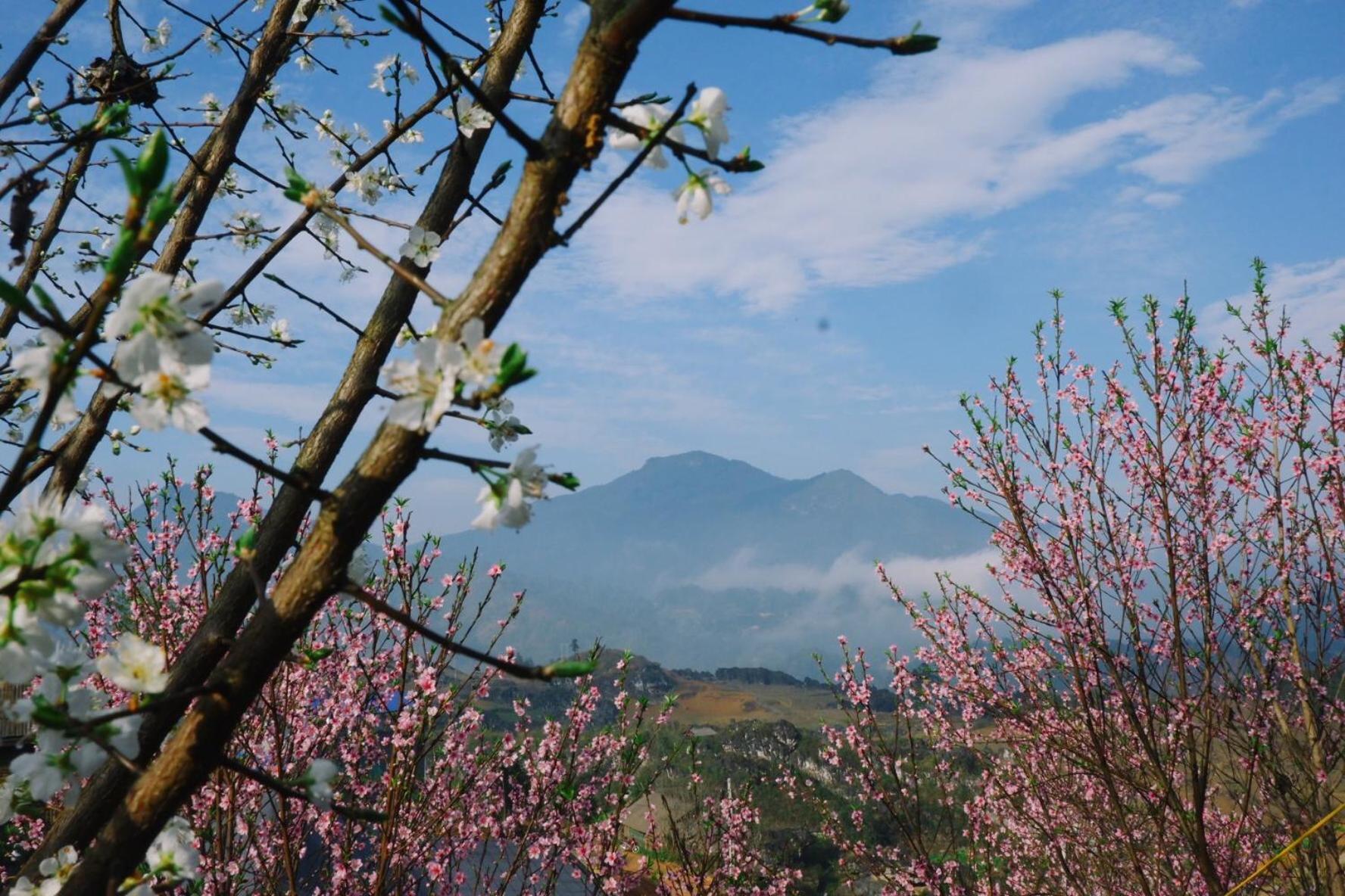 Ta Phin Cottage Sapa Exterior photo