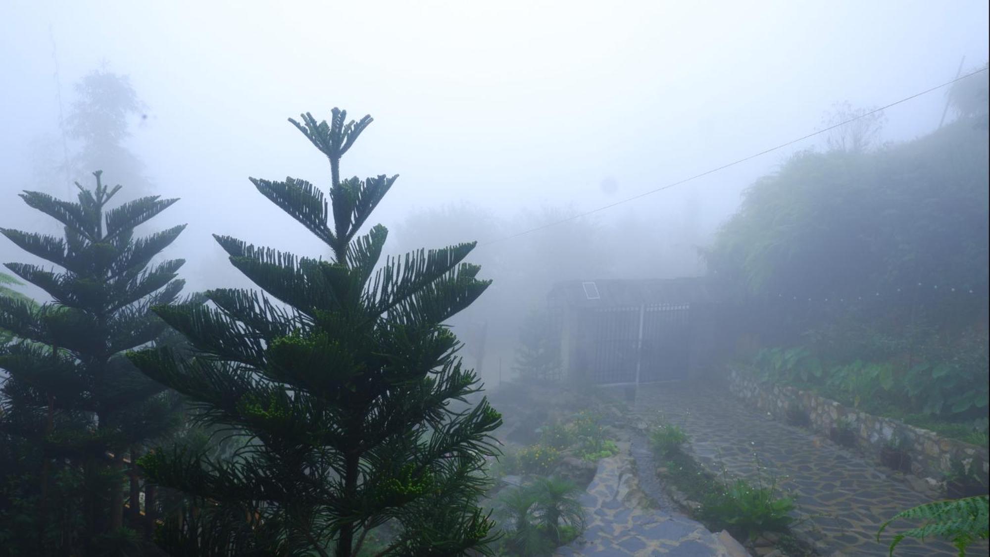 Ta Phin Cottage Sapa Exterior photo