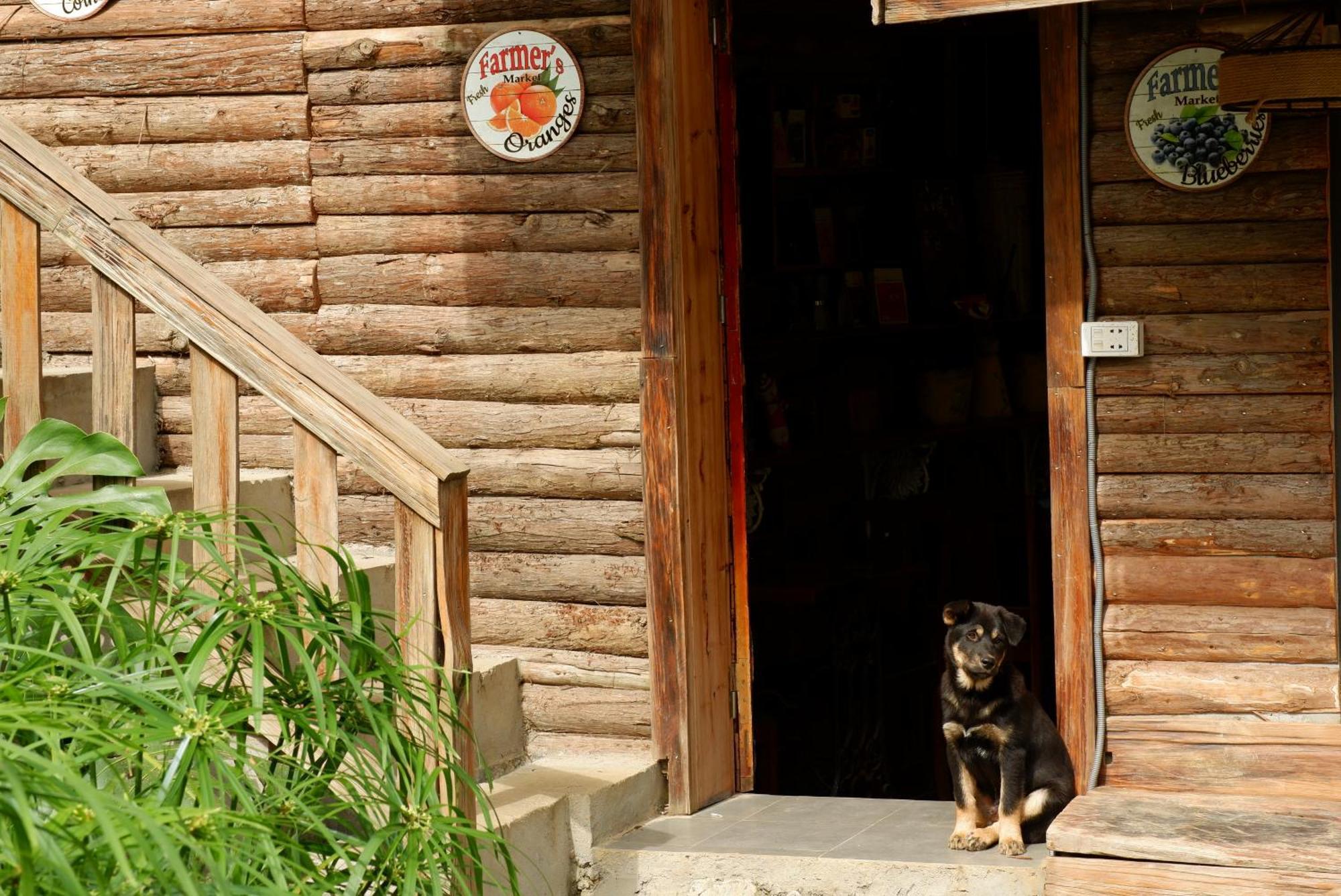 Ta Phin Cottage Sapa Exterior photo