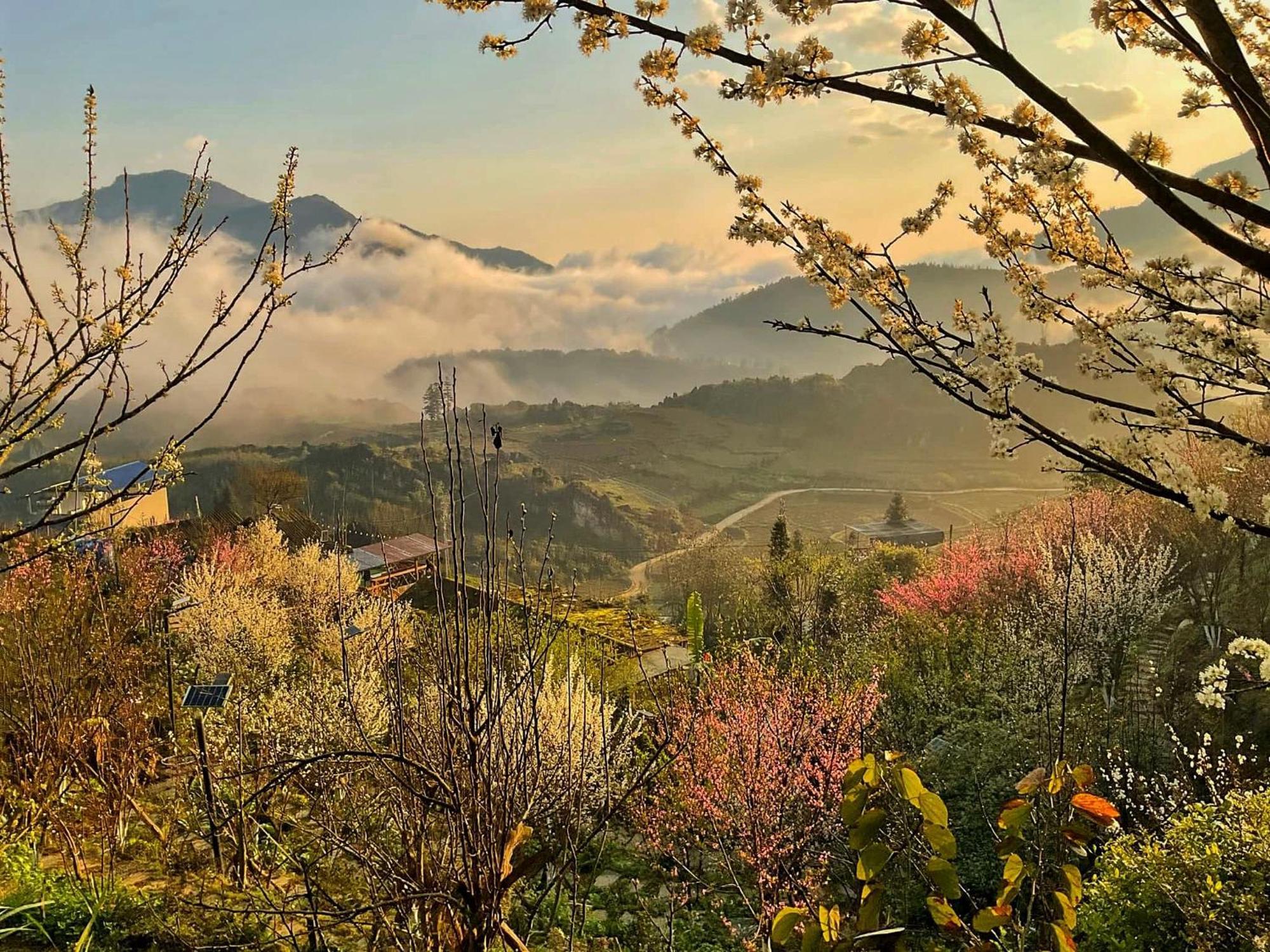 Ta Phin Cottage Sapa Exterior photo