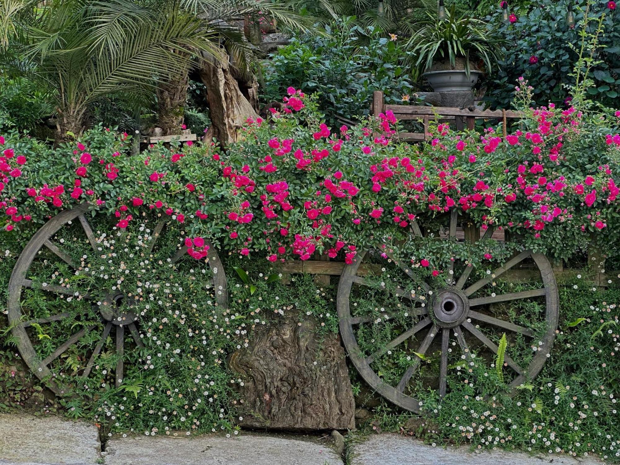 Ta Phin Cottage Sapa Exterior photo